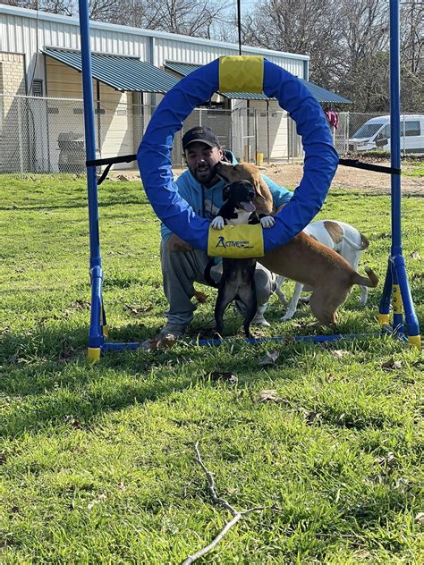 Athens Animal Rescue Shelter: Dog Enrichment Grant Report - Petfinder ...