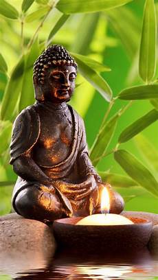 Buddha Wallpaper Hd Mobile by 73 Buddha Iphone Wallpapers On Wallpaperplay Buddha Wallpaper Hd Mobile