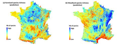 Spatial and Temporal Dependency of NDVI Satellite Imagery in Predicting ...
