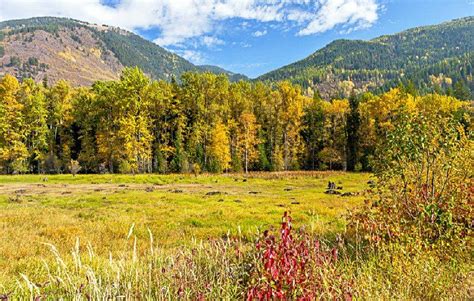 Campgrounds Near Colville Washington: Scenic Camping Spots