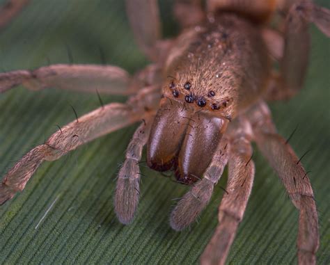 Biology Ppt Background 的图像结果