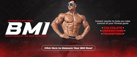 Buy Bodybuilding Supplements Online | Best Gym Supplements – Proathlix