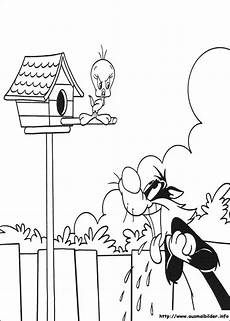ausmalbilder info malvorlagen tweety malvorlagen ausmalbilder info malvorlagen tweety malvorlagen
