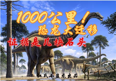 有哪些恐龙是在中国被发现的？ - 知乎