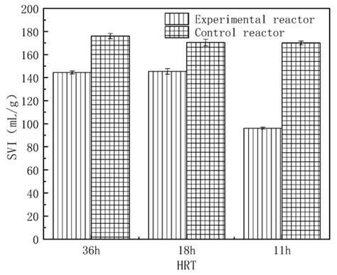 C058 and Other Functional Microorganisms Promote the Synthesis of ...