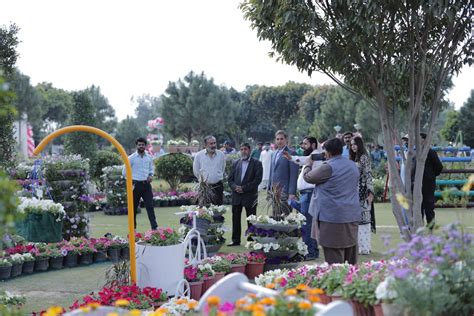 Image result for Spring Show