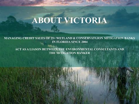 Wetland Mitigation Banking: Strategies and Processes for Ecological ...