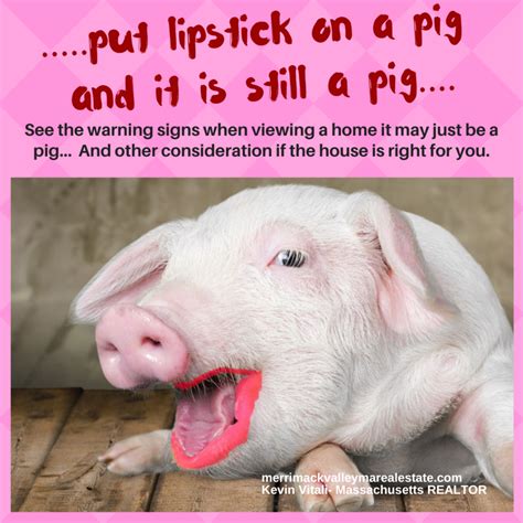 Lipstick On A Pig