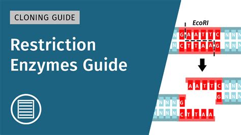 Cloning Method 的图像结果