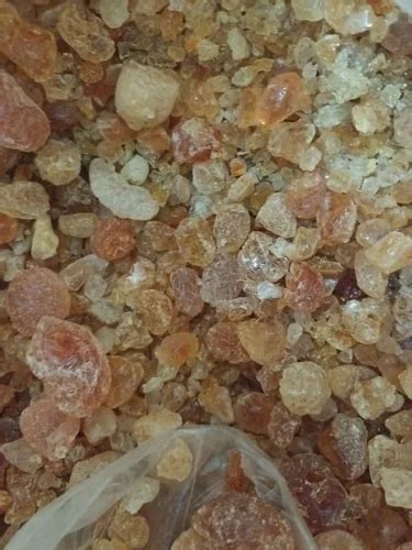 Gum Karaya And Tragacanth Gum Trader - Wholesaler / Distributor ...