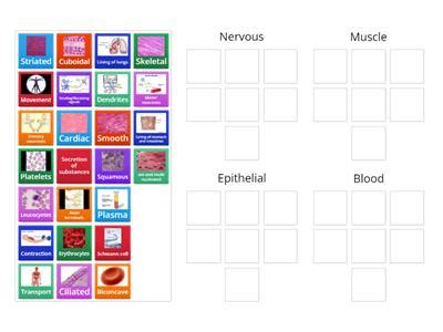Identifying Tissue Types 的图像结果