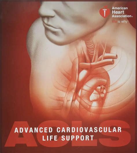 ACLS Course 的图像结果