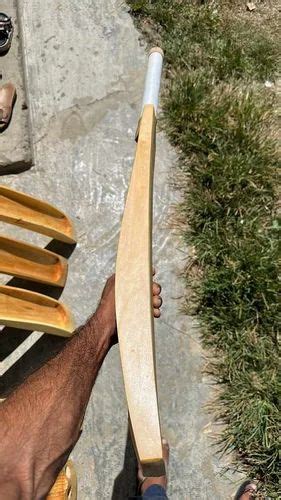 Tennis Bat 的图像结果