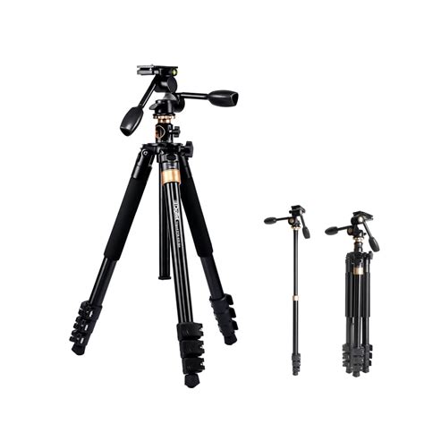 Buy Digitek (DTR 620 BH) Multi-Angle 6ft DV Tripod Cum Monopod, 3-Way ...