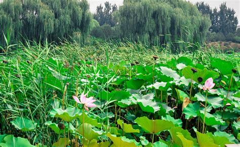 Wind Load Free Software 的图像结果