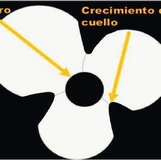 Independent Particle Model 的图像结果