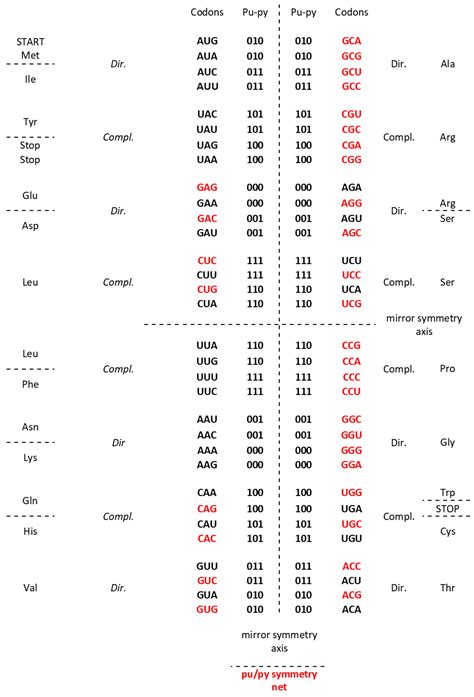 The Supersymmetry Genetic Code Table and Quadruplet Symmetries of DNA ...