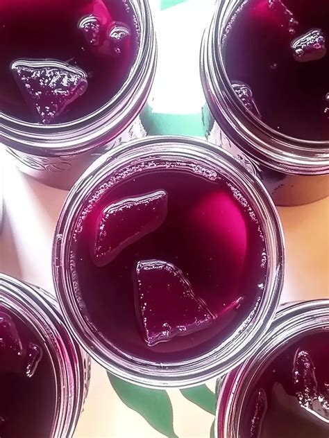 Ultimate Prickly Pear Cactus Jelly: Delicious Desert Delight