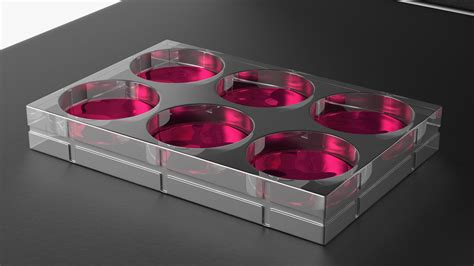 ZOE Fluorescent Cell Imager 3D | 3D Molier International