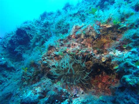 Muciara Diving Center (Santa Marina Salina) - 2021 What to Know Before ...