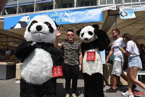 旅法大熊猫“圆梦”启程回国 法国总统夫人和大批民众到场送别_腾讯视频