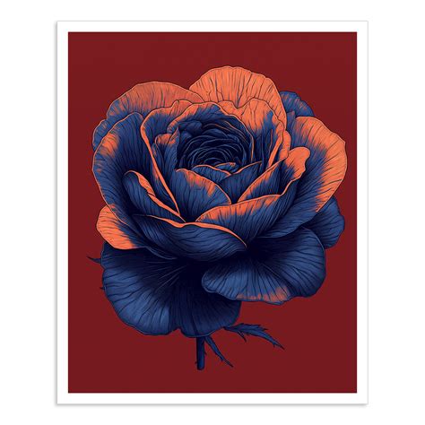 Twilight Rose – Calcuttan