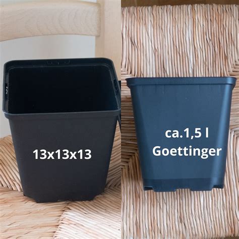 15 stk firkantet potte 13 x 13 x 13 cm | Tomatdatabasen