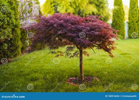 Image result for Question On Real-Time Example Image
