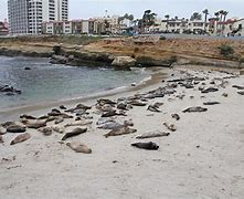 Image result for California beach indefinitely shut down