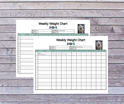 Blank Printable Puppy Weight Chart, Track their weight depending on ...