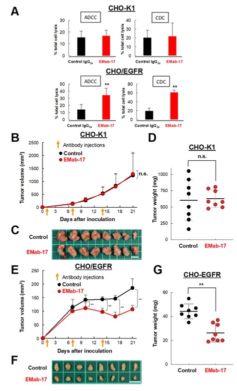 Anti-Metastatic Activity of an Anti-EGFR Monoclonal Antibody against ...
