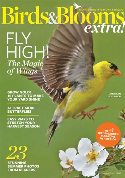 Birds And Blooms Mag