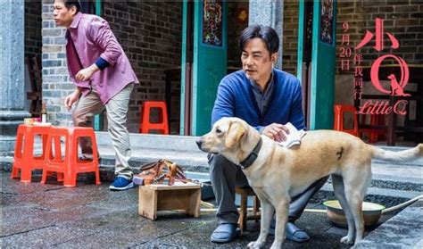 日本十大治愈系电影：导盲犬小Q上榜，第9文艺又唯美 - 电影