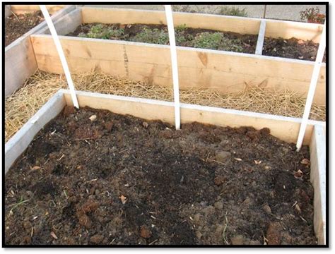 Image result for PVC Pipe Cold Frame