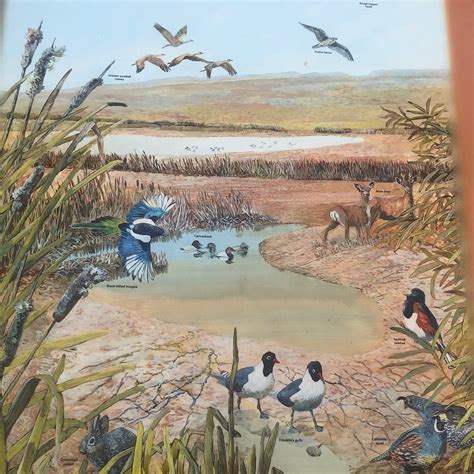 MALHEUR NATIONAL WILDLIFE REFUGE (2026) All You Need to Know BEFORE You ...