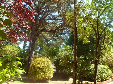 VACANCES GOLF (Pinamar) - Apartment Reviews, Photos, Rate Comparison ...