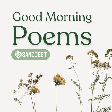 70+ Good Morning Poems To Brighten Your Day • Sandjest Gifts