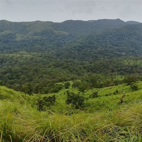 Idukki Tourism (2022): Best of Idukki, India - Tripadvisor