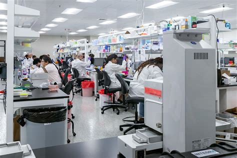 Image result for Lab Lab Kes