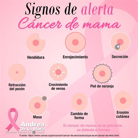 Senales Y Sintomas Del Cancer De Mama