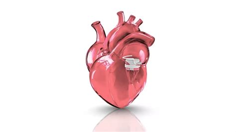 TCT 2025: One-Year ENCIRCLE Trial Outcomes Highlight Reduced Mortality ...