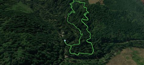 Eagle-Fern County Park Loop Trail, Oregon - 339 Reviews, Map | AllTrails