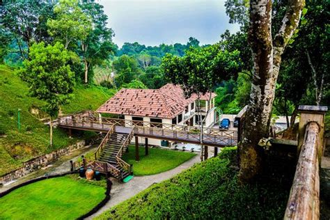 Total Waste of Money. Do not visit this place! - Review of Novem Eco ...