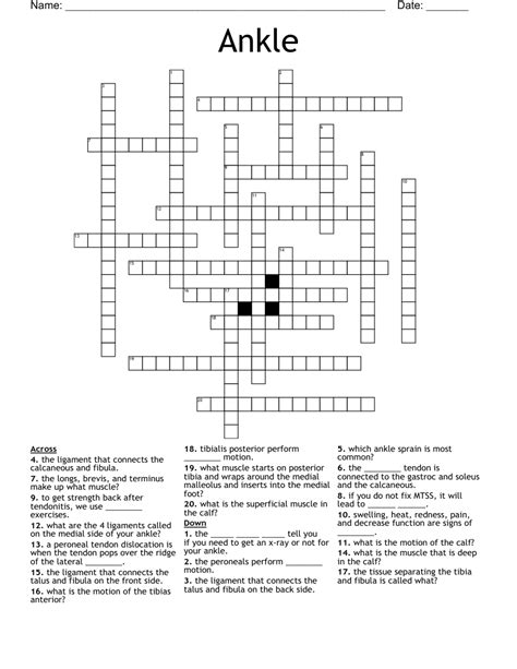 Ankle Crossword - WordMint