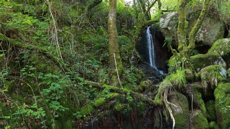 Image result for How to Find a Spring Water Source