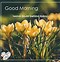 Image result for Good Morning Spring Blessings