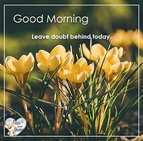 Image result for Good Morning Spring Bunnies