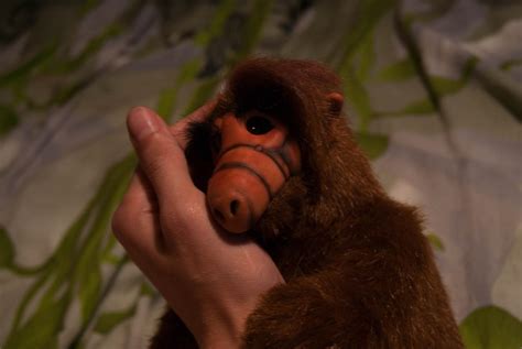 Image result for Alien ASF