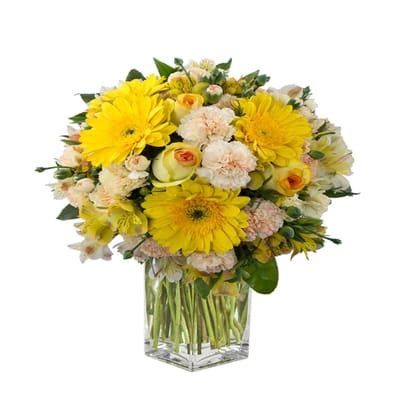 Sunlight: Order Flowers Online | Interflora India | ID1352938