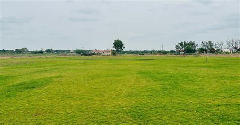 MSDIAN Cricket Ground - GW Sports App